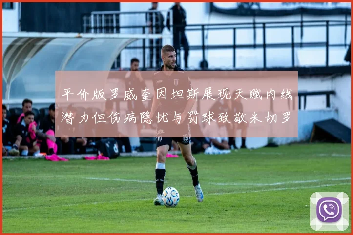 平价版罗威奎因坦斯展现天赋内线潜力但伤病隐忧与罚球致敬米切罗