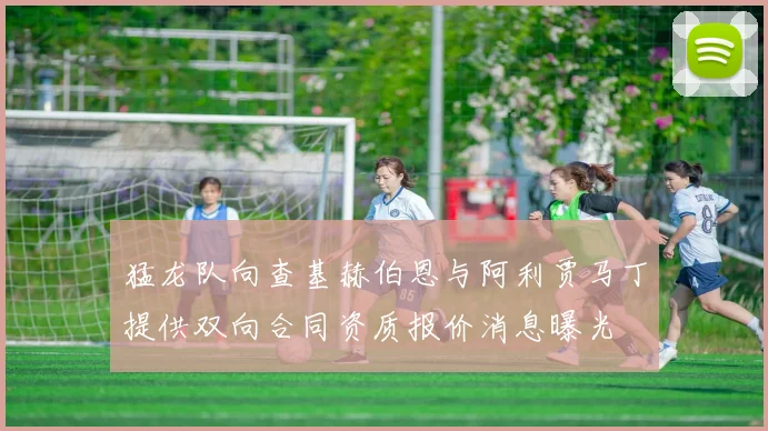 猛龙队向查基赫伯恩与阿利贾马丁提供双向合同资质报价消息曝光