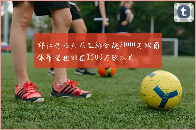 拜仁对帕利尼亚标价超2000万欧葡体希望控制在1500万欧以内